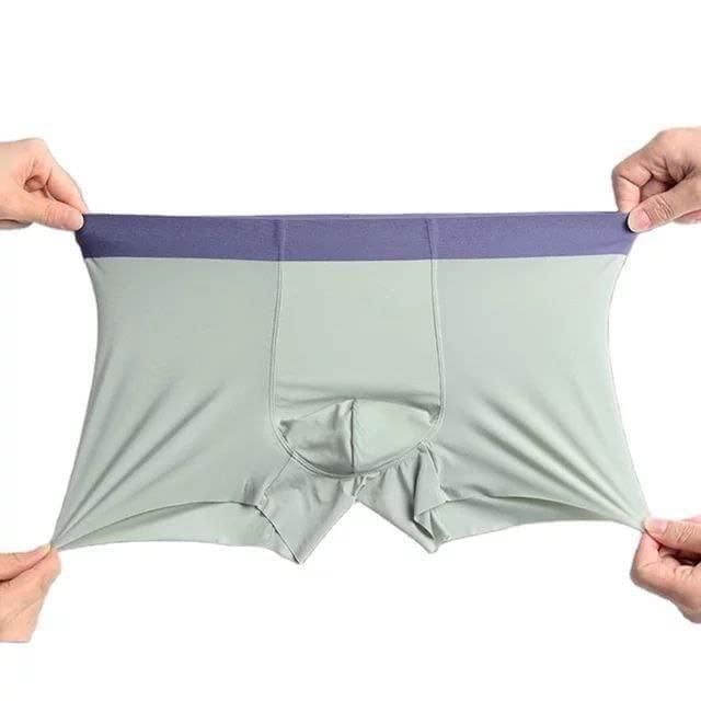 🩲 Men's Ice Silk Briefs & Boxers (Pack of 5) ✨